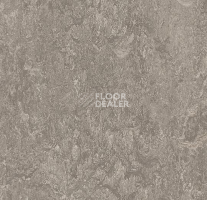 Кварцвиниловые полы Forbo Marmoleum Modular t3146 serene grey фото 1 | FLOORDEALER